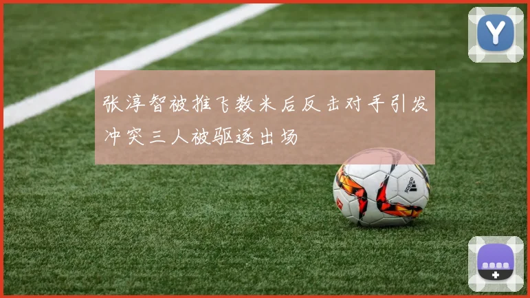张淳智被推飞数米后反击对手引发冲突三人被驱逐出场