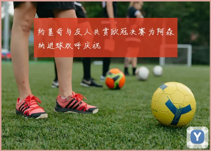 约基奇与友人共赏欧冠决赛为阿森纳进球欢呼庆祝