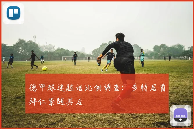 德甲球迷脏话比例调查：多特居首拜仁紧随其后